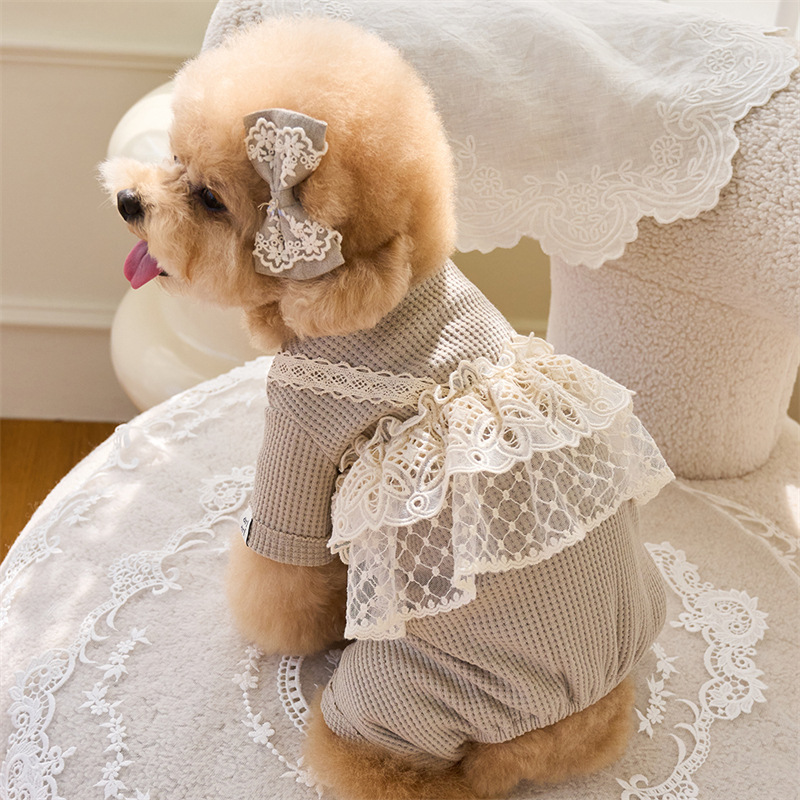 Pet Spring Jumpsuit Cute Lace  - Lace Teddy Lingerie ulasan dan harga